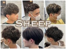 シープ(The Salon Sheep)