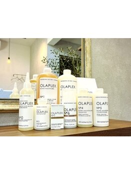 髪のダメージ修復と補強に復し、健康で美しい髪を実現する【OLAPLEX】取り扱い店☆極上の美髪を叶えます*