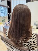 ブラウンヘアー