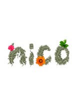 nico hair design