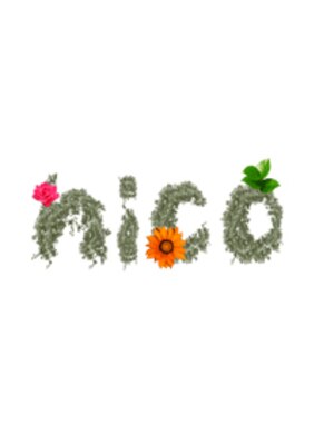 ニコ ヘアデザイン(nico hair design)