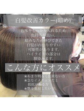 バグジー 八幡(BAGZY) 白髪改善『ワダカラー』