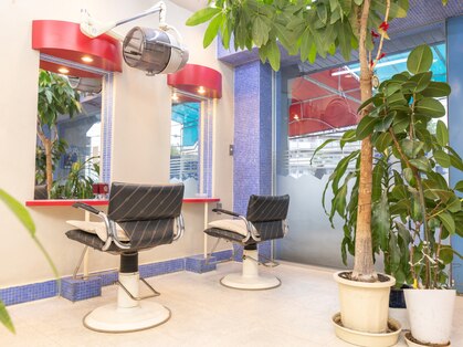 ハピネスの写真