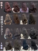 色見本】韓国透明感カラー寒色ブルべ暖色イエベブラウンベージュ