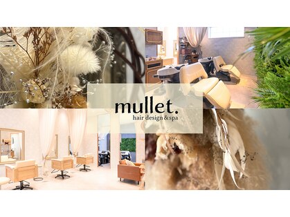 マレット(mullet.)の写真