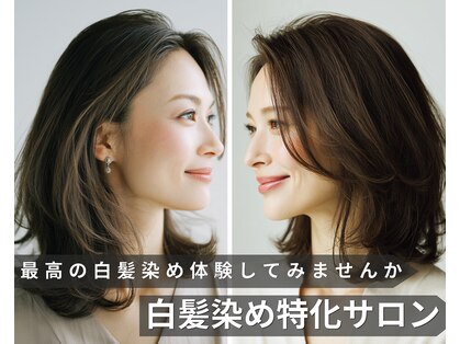 ステラ 坂戸にっさい店(STELLA)の写真