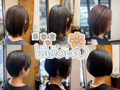 ブルーム(bloom)の写真