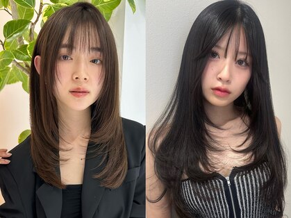 スティロ(stylo)の写真