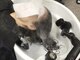 カット イン ヌーボ(cut in NOUVEAU)の写真/一度で効果抜群！触った瞬間に実感する！指通り滑らかなナチュラルストレートを実現！エイジングケアも◎