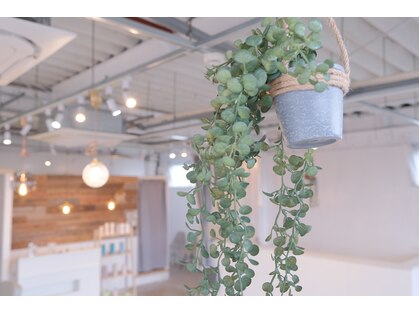 ソアー 東川口(soar)の写真