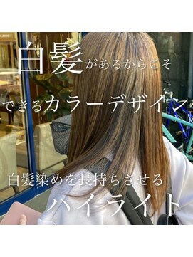 アッシュ 下丸子店(Ash) 脱白髪染めハイライト【大人のストレートロング】