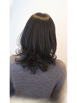 ブリリア(Brillia) ワンカールレイヤー