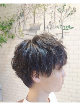 プロメール マッシュショート