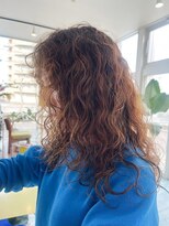 パーム スプリングス(Palm Springs)&nbsp;Hair by Palm Springs 1109