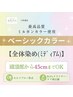 白髪全体染め／ミディアム(頭頂部より45cmまで）
