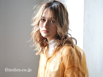 ルシータ(Lucita)の写真