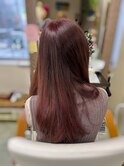カシスブラウン艶カラーストレートナチュラルロングヘア