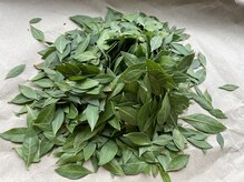 森の朝 ヘナアンドスパ(HENA&SPA)の雰囲気(沖縄の陽を浴びて育った生葉ヘナ/ オーガニックを超える"生の力")