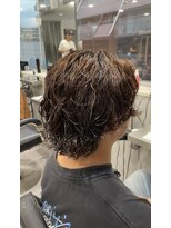 ササ(33) サーフカール