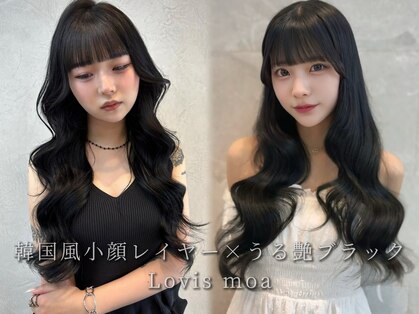 ラビスモア(Lovis moa)の写真