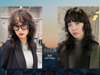 シカ(sica)の写真