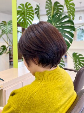 トライスター(TriStar) タートルに似合うショートボブ/冬バージョン