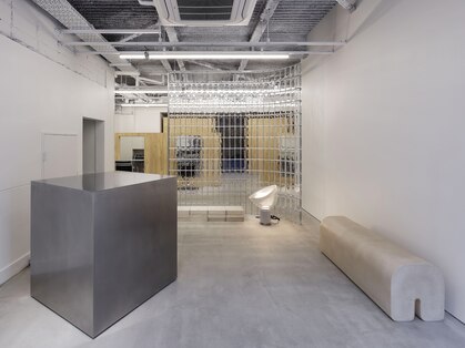 ワビ(wabi)の写真