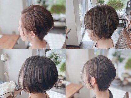 チェリー(cherry)の写真