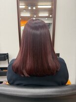 モデロ(Modelo) チェリーブラウンカラー