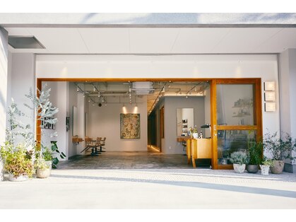 キヨイ(kiyoi)の写真