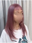 ピンクラベンダー