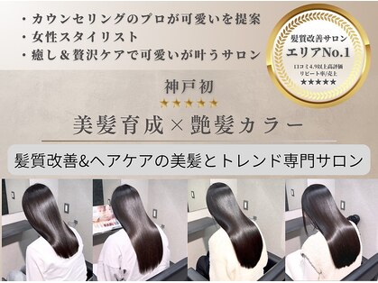 リラスール(LIRA soeur)の写真