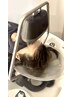 【☆OPEN記念】カット+副交感神経を整える頭浸浴スパ30′ ￥16150 →￥11450