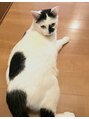 ヴィス クラシックマム(Vis Classic Mum)&nbsp;猫は癒しです^ ^