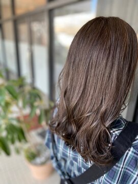 ネリネ(Nerine) オリーブブラウン