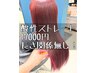  ストレートパーマ・縮毛矯正＆カット17000円【長さ関係なし】
