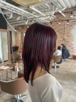 スペックホルダー(Spec Holder)&nbsp;ボルドーカラー09.26