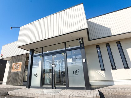 ビビ(Vivi)の写真