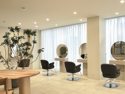 トーチ(torch)の写真