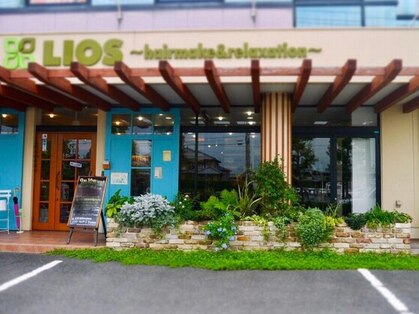 リオス(LIOS)の写真