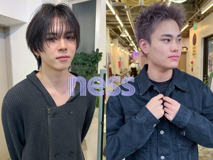 ネス(ness)の写真