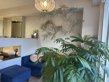 ベネベネ(Bene Bene)の写真