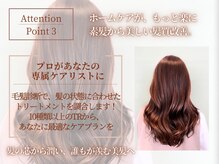エルベ  茨大前店(elve)の雰囲気（個めんどくさいケアは専属ケアリストに『丸投げ』◎ <美髪/水戸>）