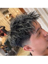 アガルタ(AGARTHA) ツイスパメッシュ