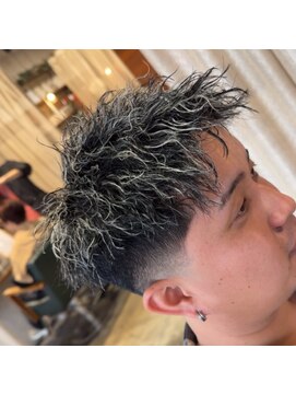 アガルタ(AGARTHA) ツイスパメッシュ