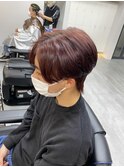 ピンク系マッシュウルフ 担当:高木穣