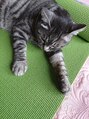 ナチュラル 名取店(Natural)&nbsp;おうちヨガは猫と一緒に。