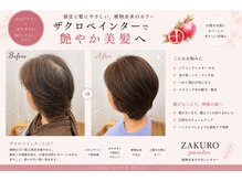 桜楽 八尾店