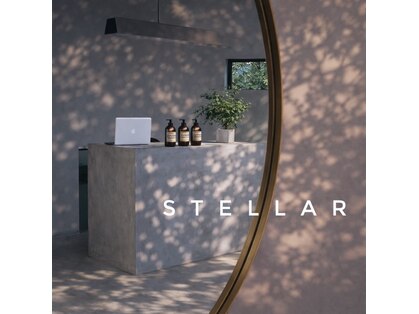 ステラ(stellar)の写真