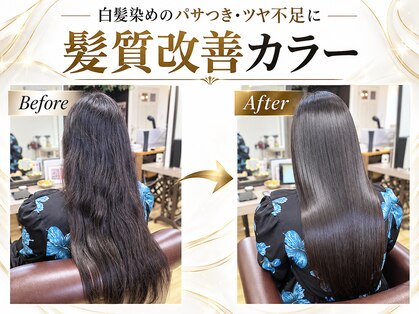 ブルーフィン シセロ(Blue Fin cicero)の写真